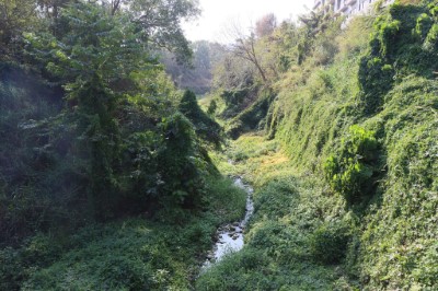 東大溪東大校園生態走讀 